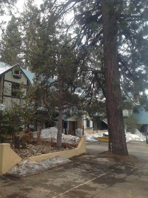 Tahoe Chalet Inn, The Theme Inn Lake Tahoe Airport エクステリア 写真
